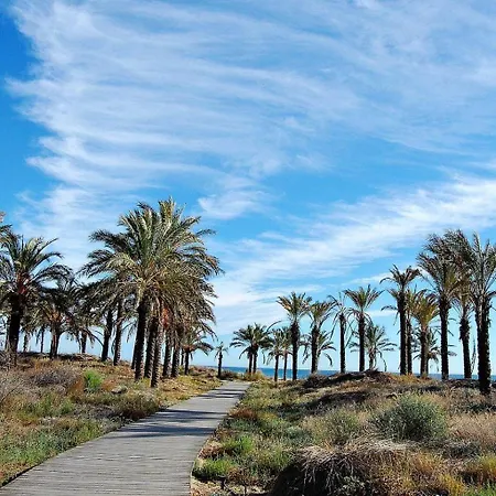 Alma Brizo Grao de Castellon